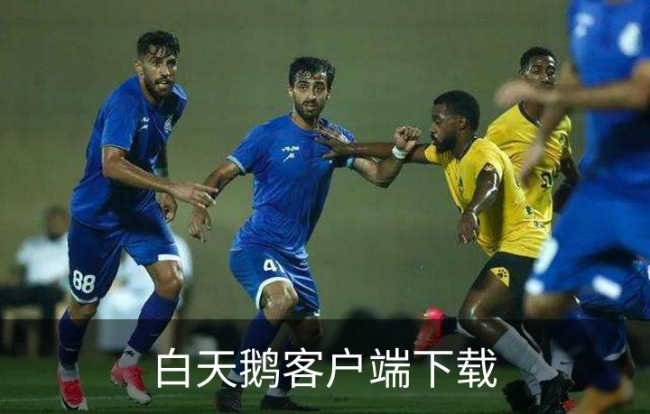 白天鹅客户端下载品牌故事